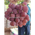 BINCHUAN GRAPES INAANZA